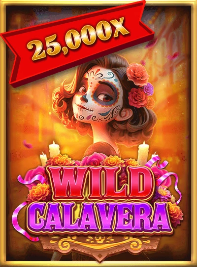 555mih new game